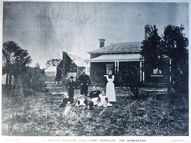 Postcard - Card Box Photographs, J. White's Ashford Vale Farm, Cardigan: The Homestead