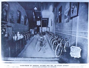 Postcard - Card Box Photographs, Show-Room of Endean, Wilson and Co., 59 Sturt Street.  Bicycle Manufacturers and Importers