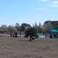 A number of people walk thorugh a dry lake