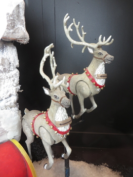 Reindeer