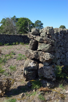 Drystone sheepwash