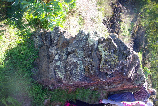 Drystone sheepwash