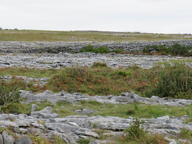 Photograph - Colour, The Burren, County Clare, near Ballyvaughan, 2016, 09/2016