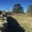 stone sheep pens