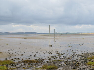 Digital photograph, Walkway between mainland and Lindisfarne Island, United Kingdom, 10/2016