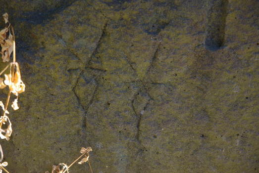 Bluestone makers marks