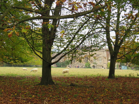 Abbey, Lacock, United Kingdom