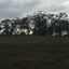 Landscape view