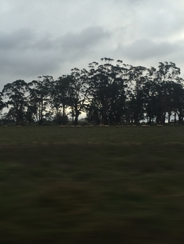 Landscape view
