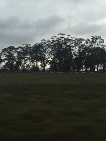 Landscape view