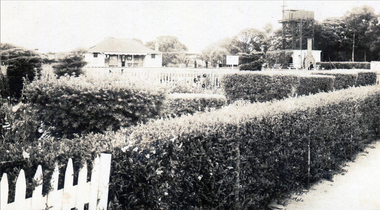 House with an hedge in the foreground