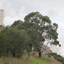 Treed lanscape in from of a power station