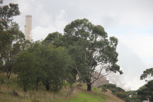 Treed lanscape in from of a power station