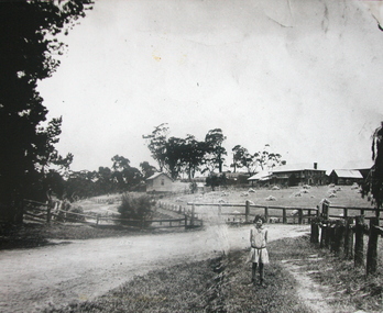 Photograph - Black and White, Alice Gervasoni in front of the Old Stone House, Yandoit Creek