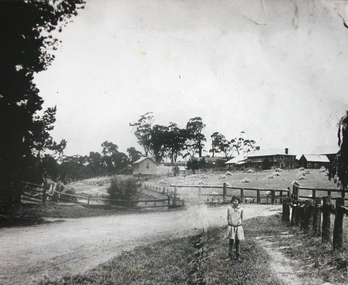 Photograph - Photograph - Black and White, Alice Gervasoni in front of the Old Stone House, Yandoit Creek