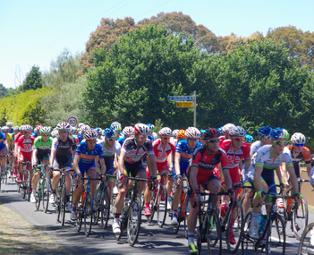 Photograph - Colour, Clare Gervasoni, Cadel Evans rides the Australian Road Championships, Buninyong, 2014, 12/01/2014