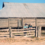 Two women stand at a post and rail fence
