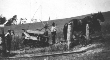 Photograph - Photograph - Colour, Gervasoni Thresher at Yandoit Creek