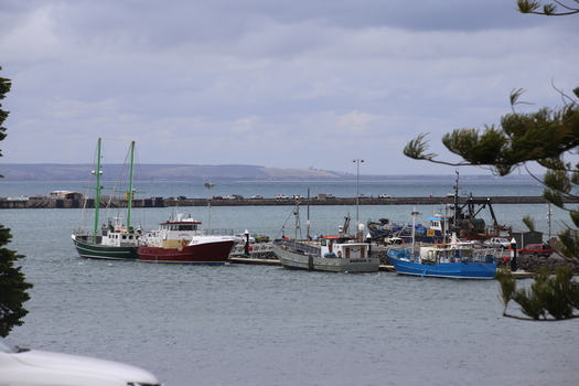 Boats at Portland