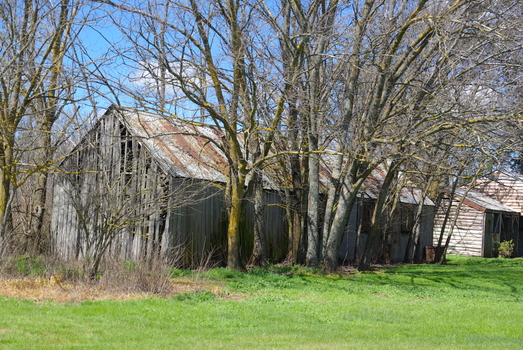 Early buildings associated with the Smeaton Church