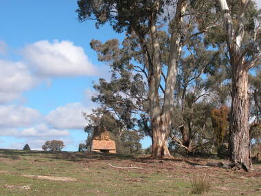 Photograph - Photograph - Colour, Remains of the Ritzau Home, Yandoit Creek, 2006