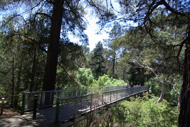 Photograph - Photograph - Colour, Spring Creek Bridge, Hepburn Springs, 2015, 25/10/2015