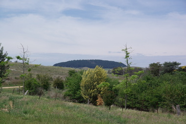Mount Franklin from the Franklinford Cemetery, 2015