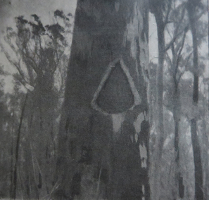 Photograph - Image - Black and White, Blaze of the Victorian Mines Department
