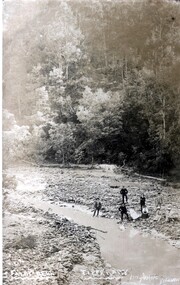 Photograph - Postcard, Fairy Dell, Tipperary, Daylesford