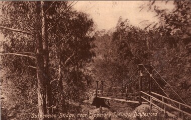 Photograph - Photograph - Black and White, Suspension Bridge, Near Tipperary Springs, Daylesford