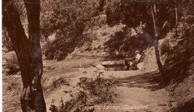 Photograph - Photograph - Black and White, Tipperary Springs, Daylesford
