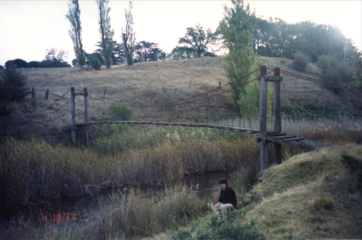 Rustic bridge