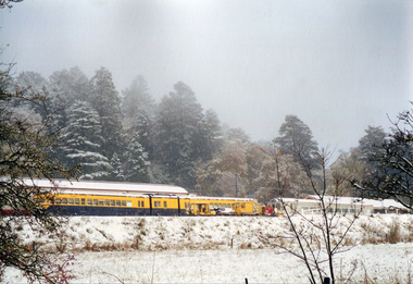 Photograph - Colour, Snow at Daylesford, c1999