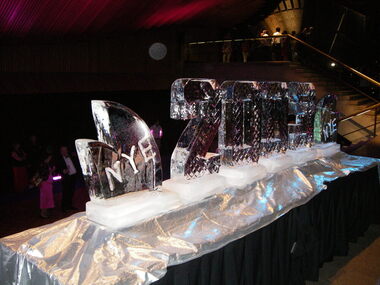 Sculptured Ice