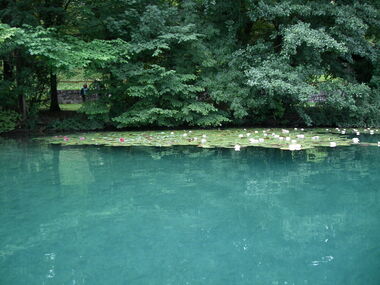 Photograph - Digital photograph, Lake Bled