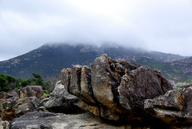 Digital photograph Wilsons Promontory after fire, Wilsons Promontory after fire, early 2000s