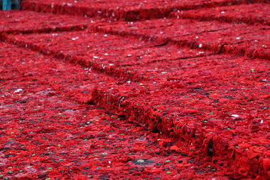 Digital Image field of poppies Federation Square Melbourne 26-04-2015, field of poppies Federation Square Melbourne 26-04-2015 - carpet of poppies, 26-04-2015