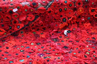 Digital Image field of poppies Federation Square Melbourne 26-04-2015 carpet of poppies detail, field of poppies Federation Square Melbourne 26-04-2015 - carpet of poppies detail, 26-04-2015