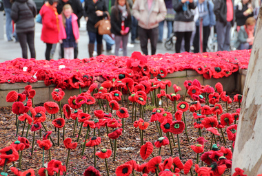 Digital Image field of poppies Federation Square Melbourne 26-04-2015 planted poppy, L.J. Gervasoni, field of poppies Federation Square Melbourne 26-04-2015 planted poppies, 26-04-2015