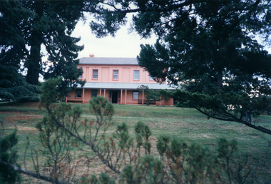 Double stoey house in a garden