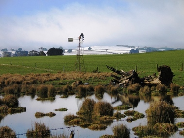 Digital Photograph, L.J. Gervasoni, Melting Snow Newlyn, 2006