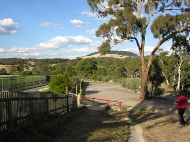 Photograph - Digital photograph, Clare Gervasoni at Cricket Willow, c2010