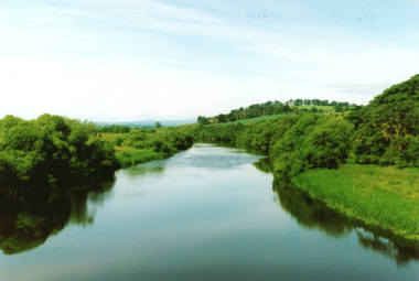 Photograph - Colour, Forteviot, Scotland