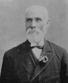 Photograph - Image, Thomas Stoddart