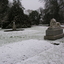 Snow in the Ballarat Botanical Gardens