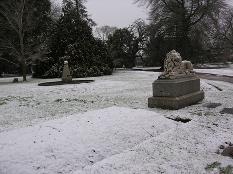 Snow in the Ballarat Botanical Gardens