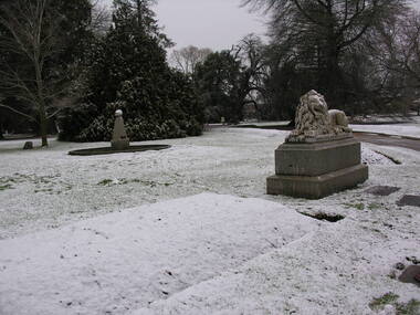 Snow in the Ballarat Botanical Gardens