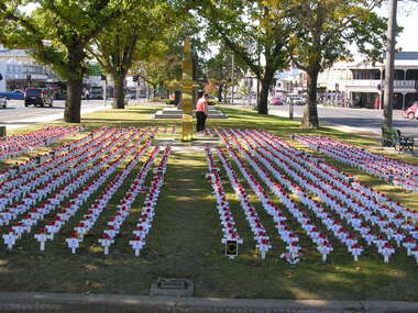 Photograph - Colour, Crosses in Lawn at Cenotaph, Ballarat