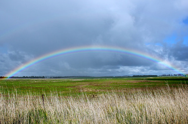 Digital photographs, L.J. Gervasoni, full rainbow over pasture Derrinallum, 2012