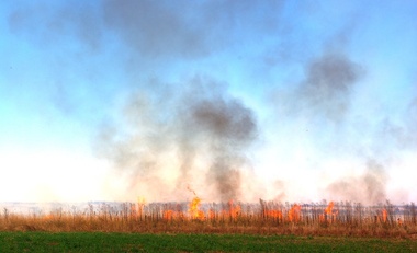 Burning Stubble